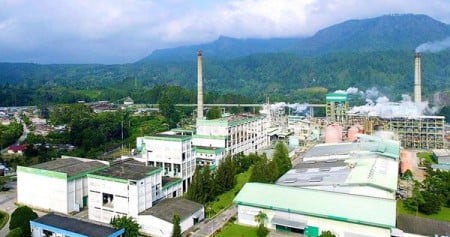 Saham Perusahaan Kertas yang Terdaftar di BEI