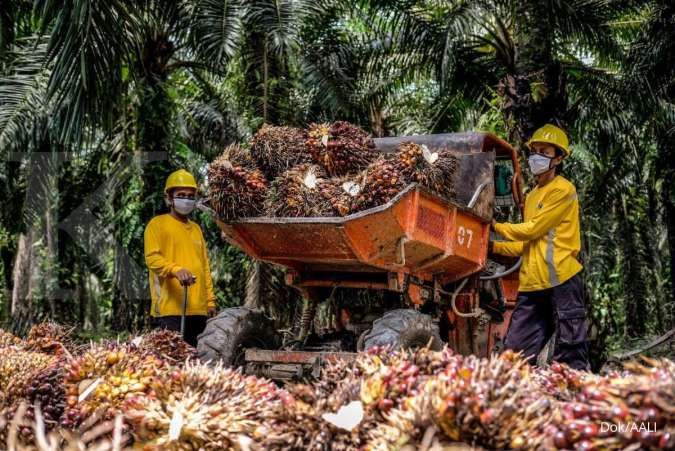 prospek saham AALI